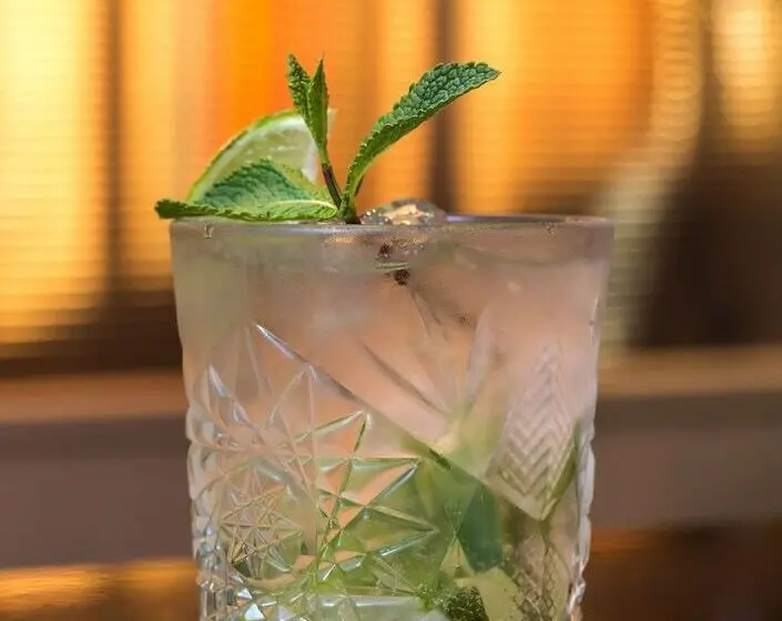 Fotos del hotel Bonnington Dublin Hotel & Leisure Centre:  5