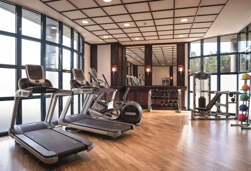 Fotos del hotel Seminaris Hotel Nürnberg:  3