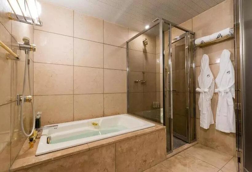 Fotos del hotel Kyoto Brighton:  8