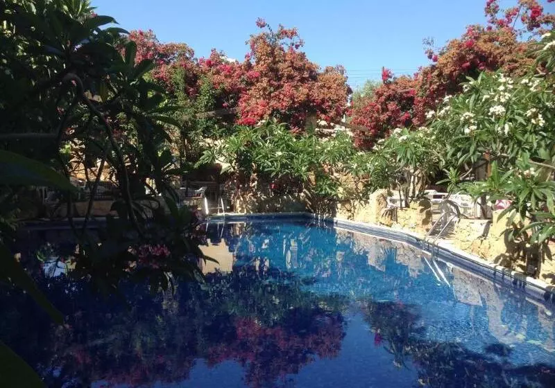 Fotos del hotel Roman Boutique:  6