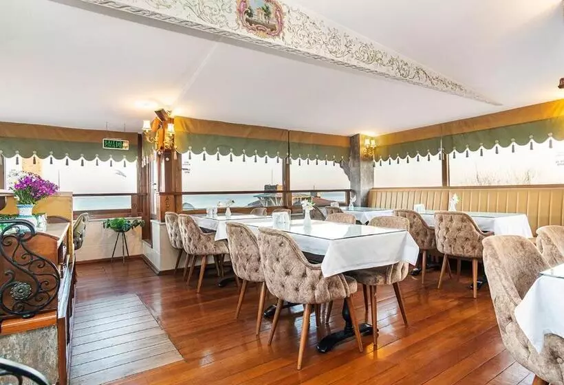 Fotos del hotel Alzer:  10