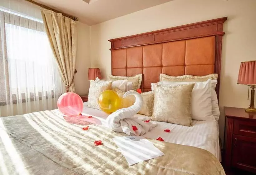 Fotos del hotel Alzer:  21