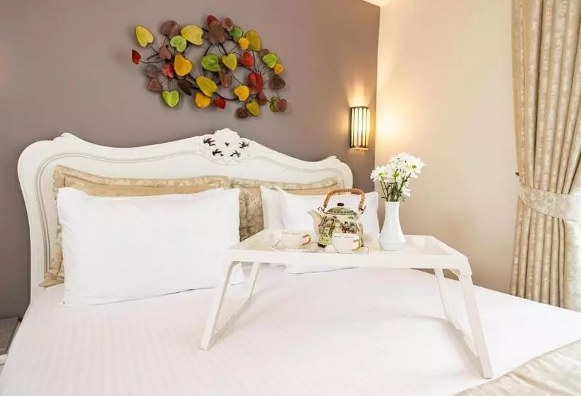 Fotos del hotel Alzer:  24