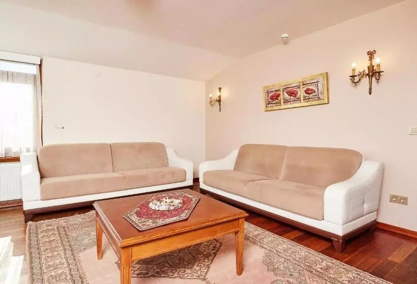 Fotos del hotel Alzer:  19