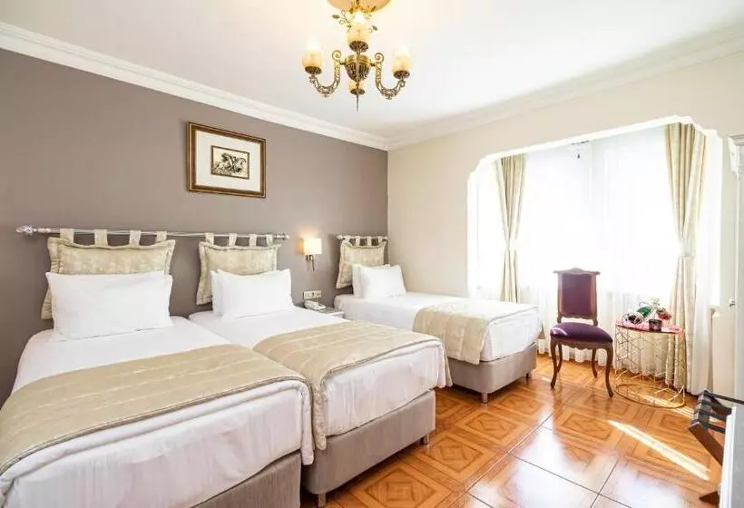 Fotos del hotel Alzer:  11