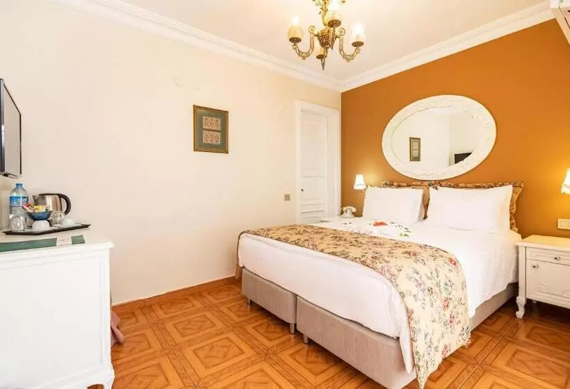 Fotos del hotel Alzer:  5