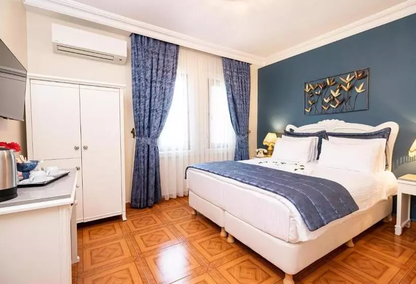 Fotos del hotel Alzer:  22