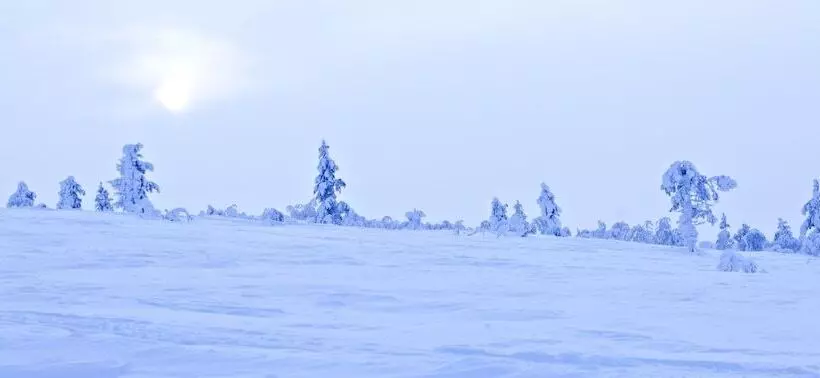 Fotos del hotel Holiday Club Saariselkä:  8