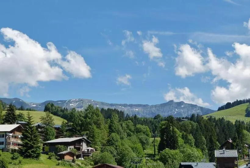 Fotos del hotel Mont Blanc Megève:  8