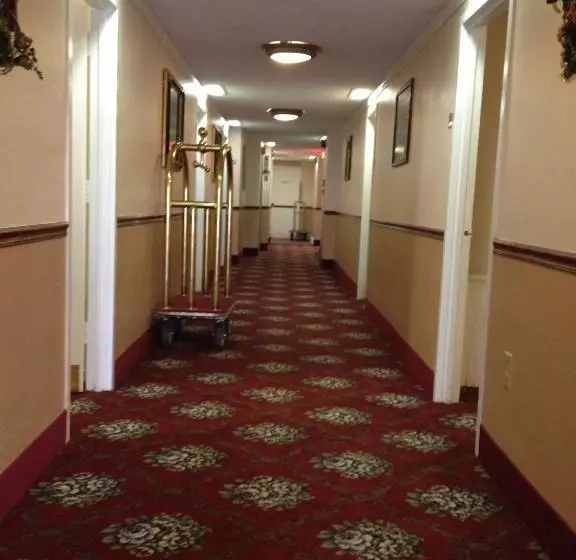 Fotos del hotel Windsor Park Hotel:  3