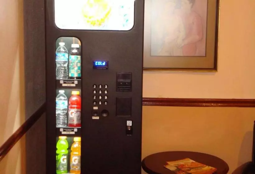 Fotos del hotel Windsor Park Hotel:  4