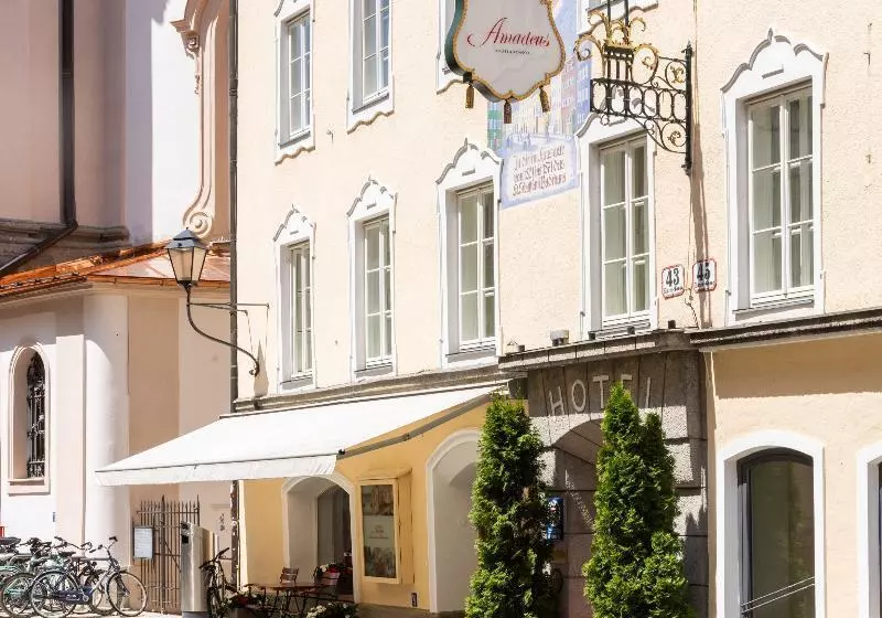 Fotos del hotel Altstadt Amadeus:  20