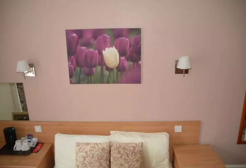 Fotos del hotel New Wilmington:  8