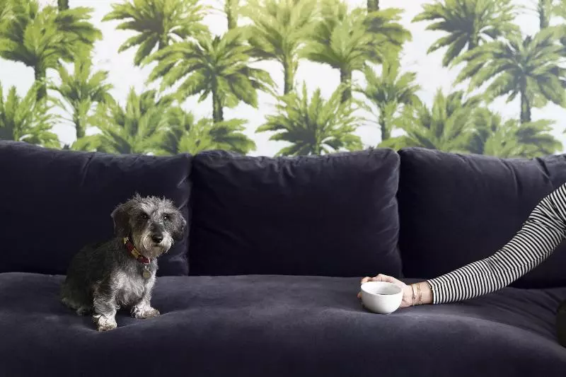 Fotos del hotel The Lodge   Putney:  19