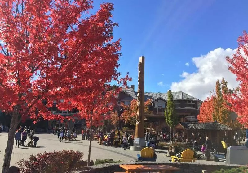 Fotos del hotel The Alpenglow By Mountainview Accommodation:  5