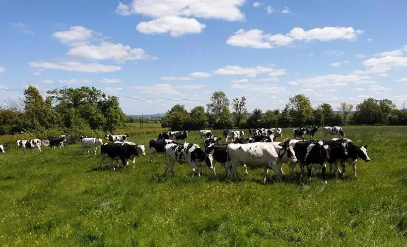 Fotos del hotel Schoolhouse Restaurant And:  13