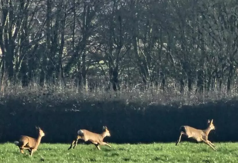 Fotos del hotel Schoolhouse Restaurant And:  16