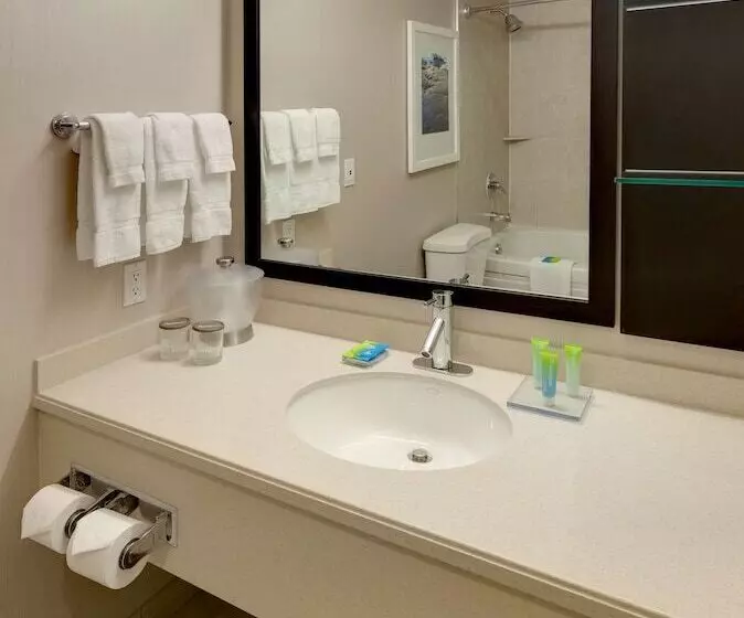 Fotos del hotel Radisson Hotel & Suites Fallsview:  12