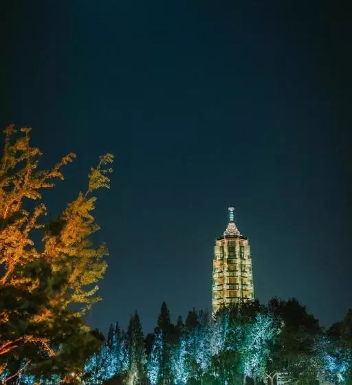 Fotos del hotel Grand Metropark Hotel Nanjing:  9