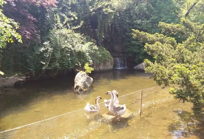 Fotos del hotel Dalian Nanshan Garden:  10