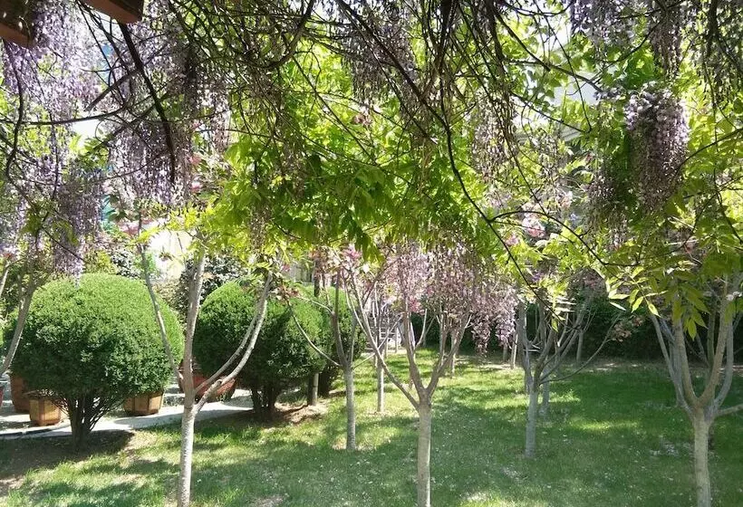 Fotos del hotel Dalian Nanshan Garden:  13