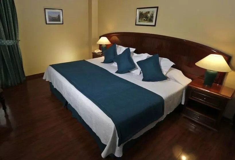 Fotos del hotel Principado De Asturias:  18