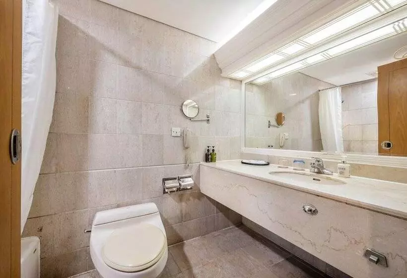 Fotos del hotel Silverland:  11