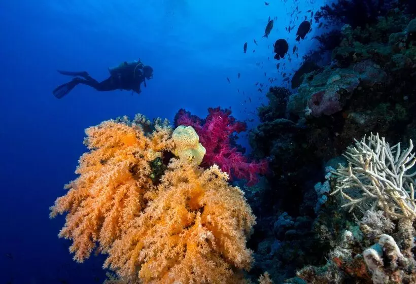 Fotos del hotel Labranda Club Paradisio El Gouna:  25