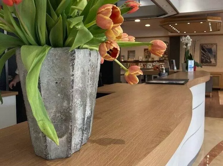 Fotos del hotel Quality Hôtel Christina Lourdes:  6