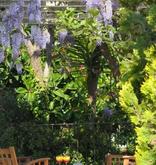 Fotos del hotel Anis:  6