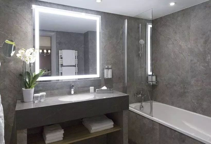 Fotos del hotel Warwick Reine Astrid - Lyon:  7