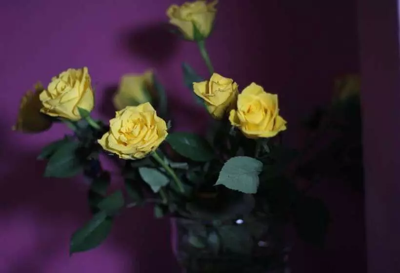 Fotos del hotel Carlton:  5