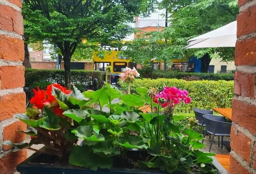 Fotos del hotel Schoolhouse:  13