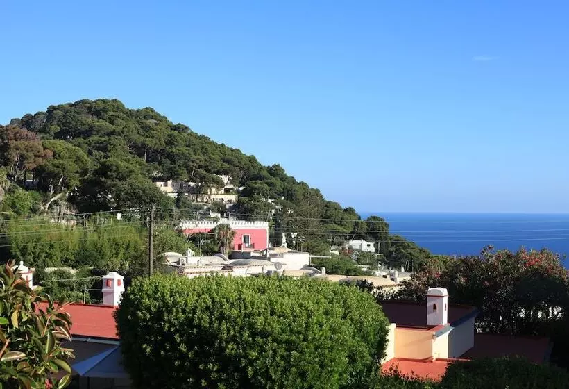 Fotos del hotel Villa Sarah:  5