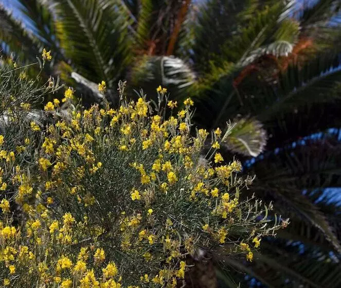 Fotos del hotel Villa Sarah:  4