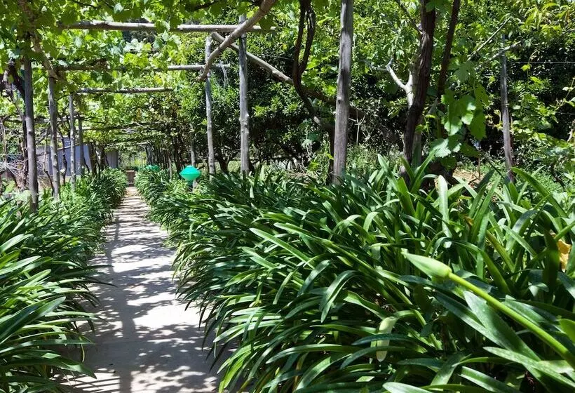 Fotos del hotel Villa Sarah:  9