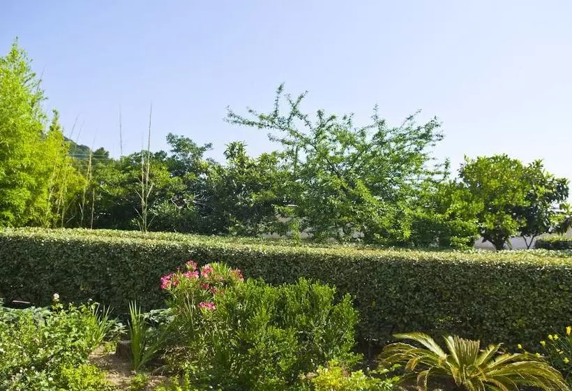 Fotos del hotel Villa Sarah:  12