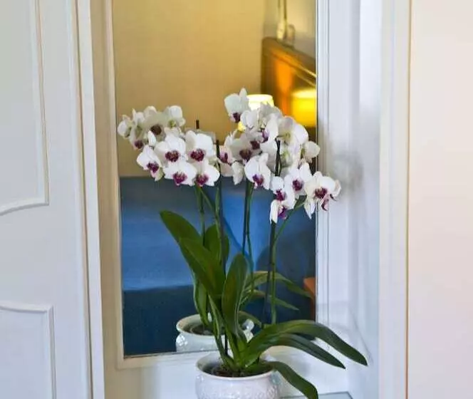 Fotos del hotel Villa Sarah:  15