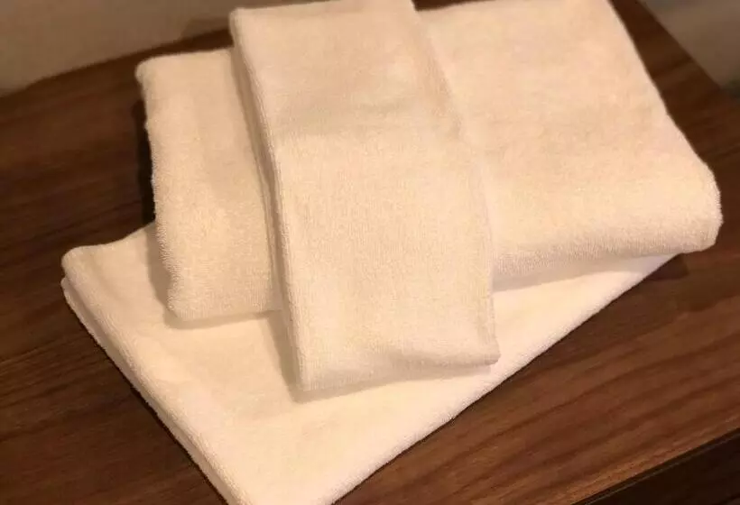 Fotos del hotel Osaka Riverside:  25