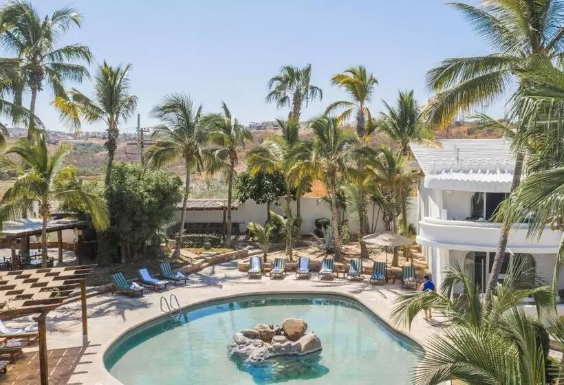 Fotos del hotel & Suites El Moro:  6