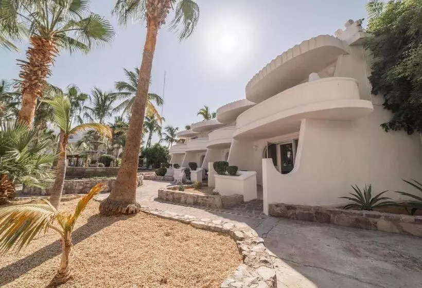 Fotos del hotel & Suites El Moro:  11