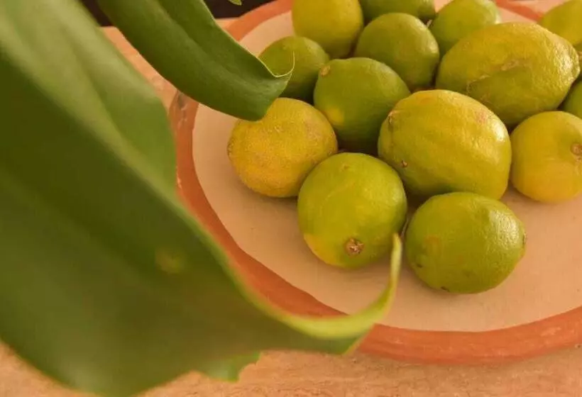 Fotos del hotel Marina Smir Hotel & Spa:  13