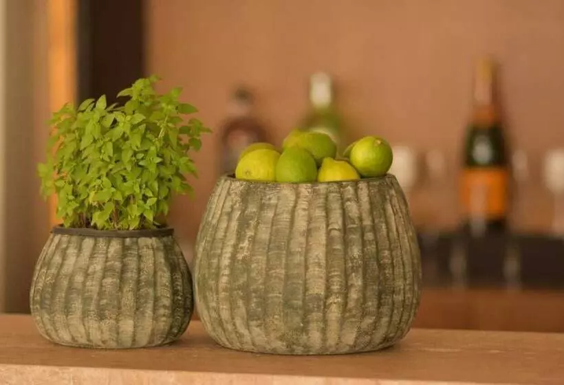 Fotos del hotel Marina Smir Hotel & Spa:  17