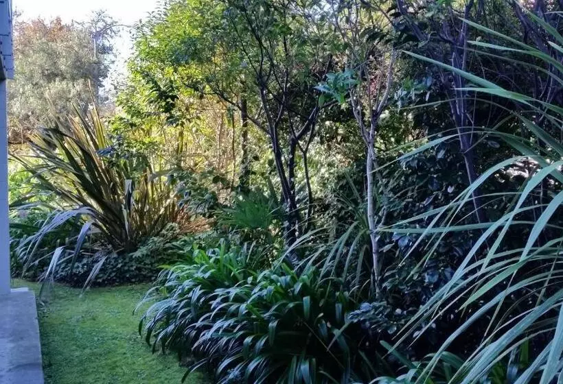 Fotos del hotel Admirals Motor Inn:  12