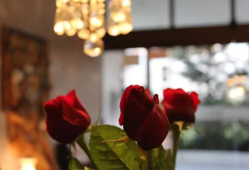 Fotos del hotel Meia Lua:  21