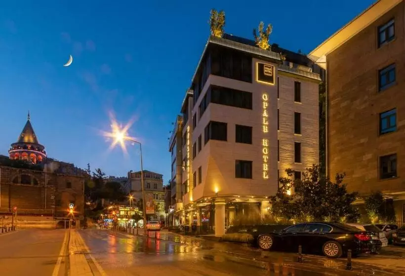 Fotos del hotel Opale:  5