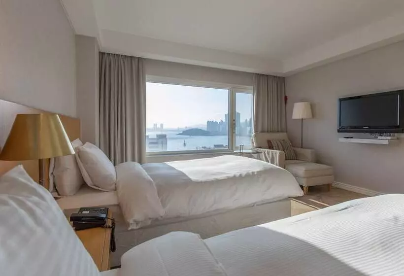 Fotos del hotel Illua:  23