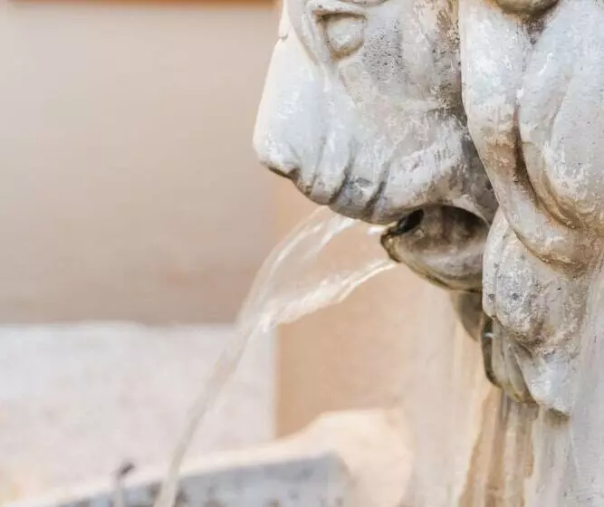 Fotos del hotel Mercure Johannesburg Bedfordview:  4