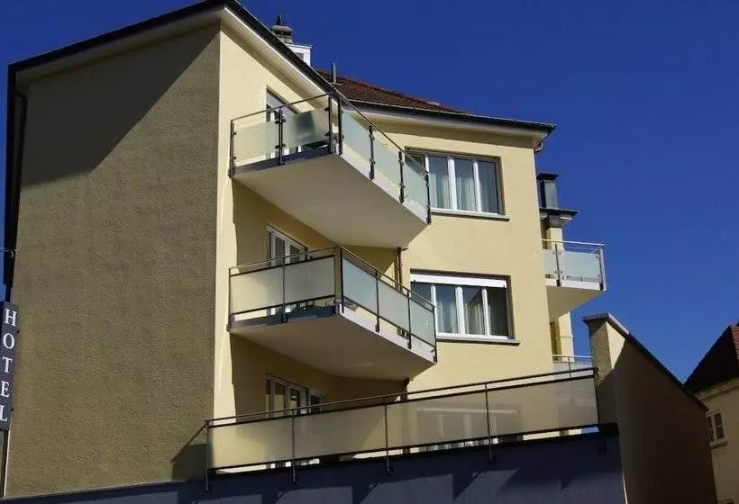 Fotos del hotel Balegra City Hotel Basel:  6