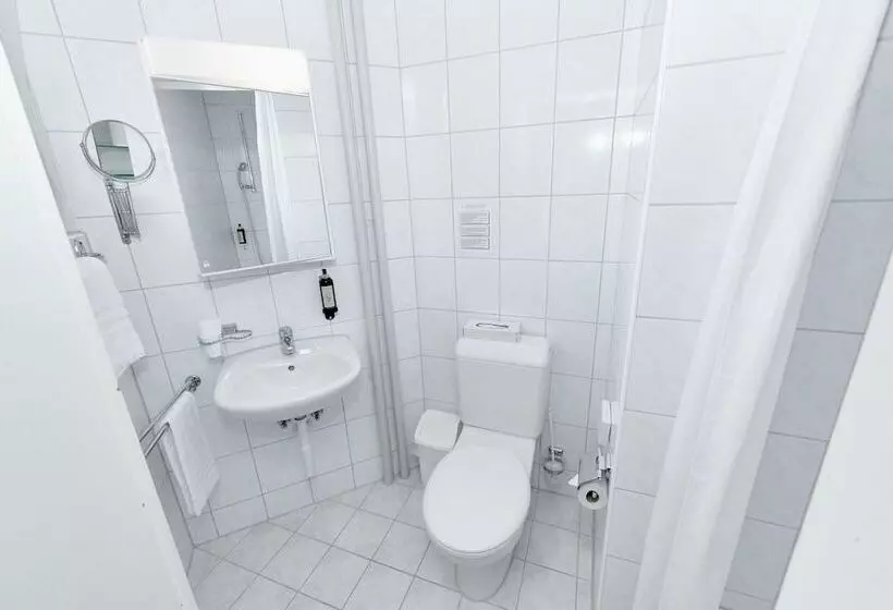 Fotos del hotel Balegra City Hotel Basel:  25